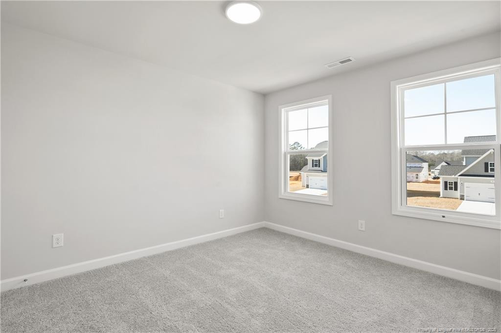 319 Tulip Oak (lot 101) Drive Property Photo 35