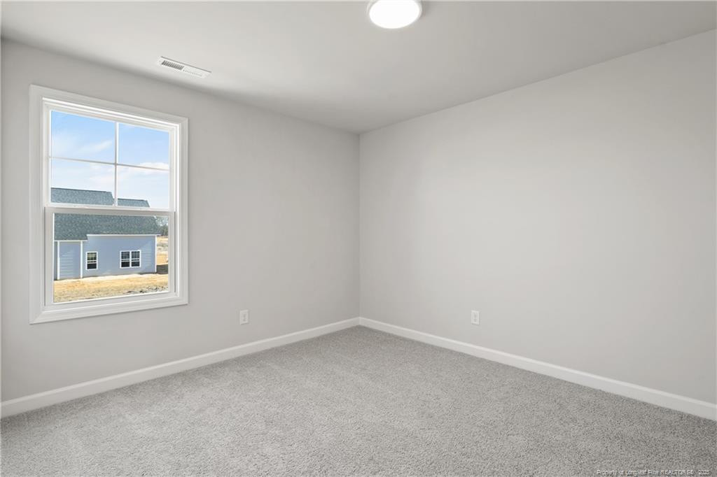 319 Tulip Oak (lot 101) Drive Property Photo 41