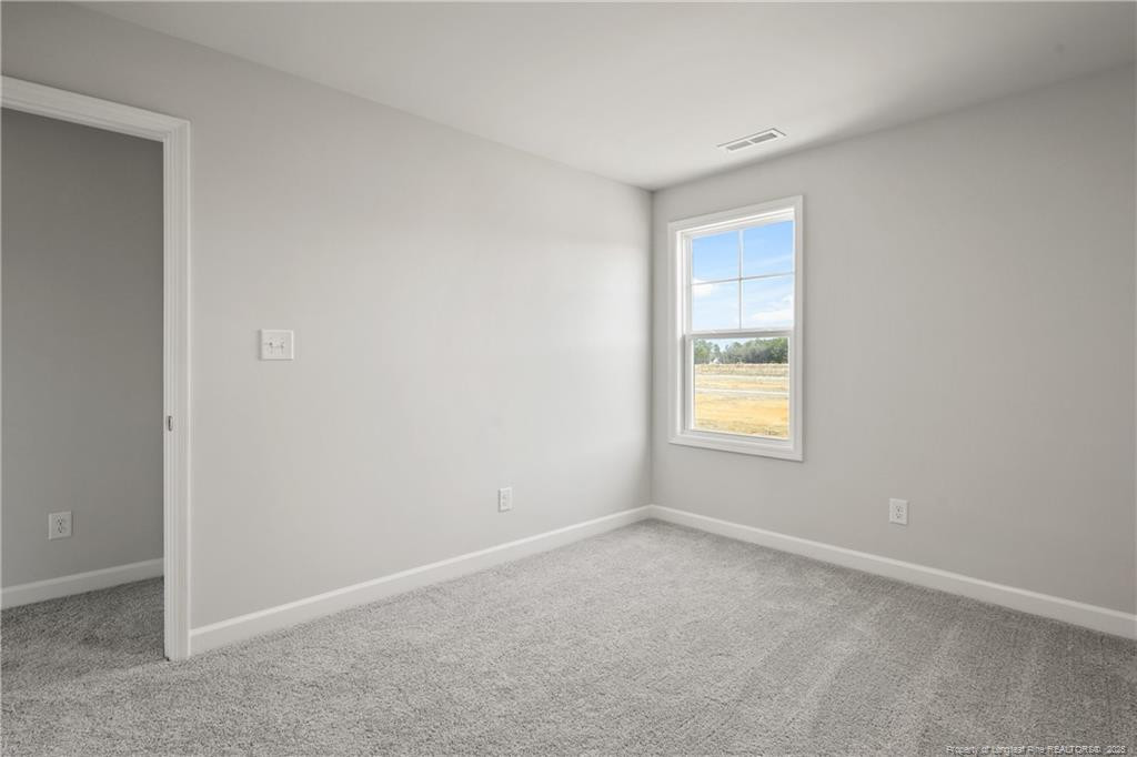 319 Tulip Oak (lot 101) Drive Property Photo 44
