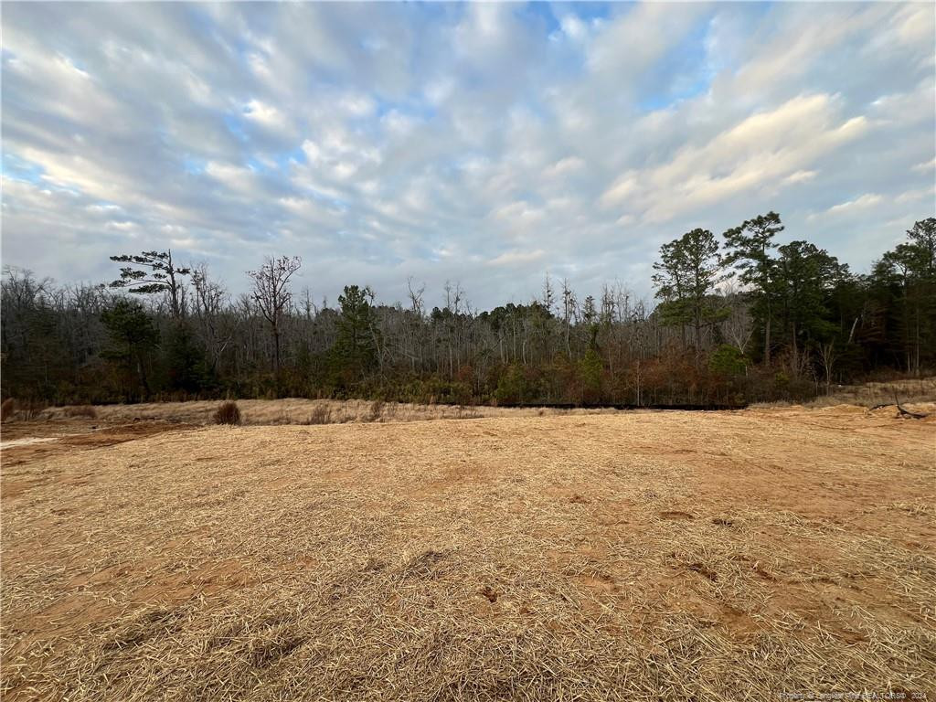 268 Brickhill Drive Property Photo 19