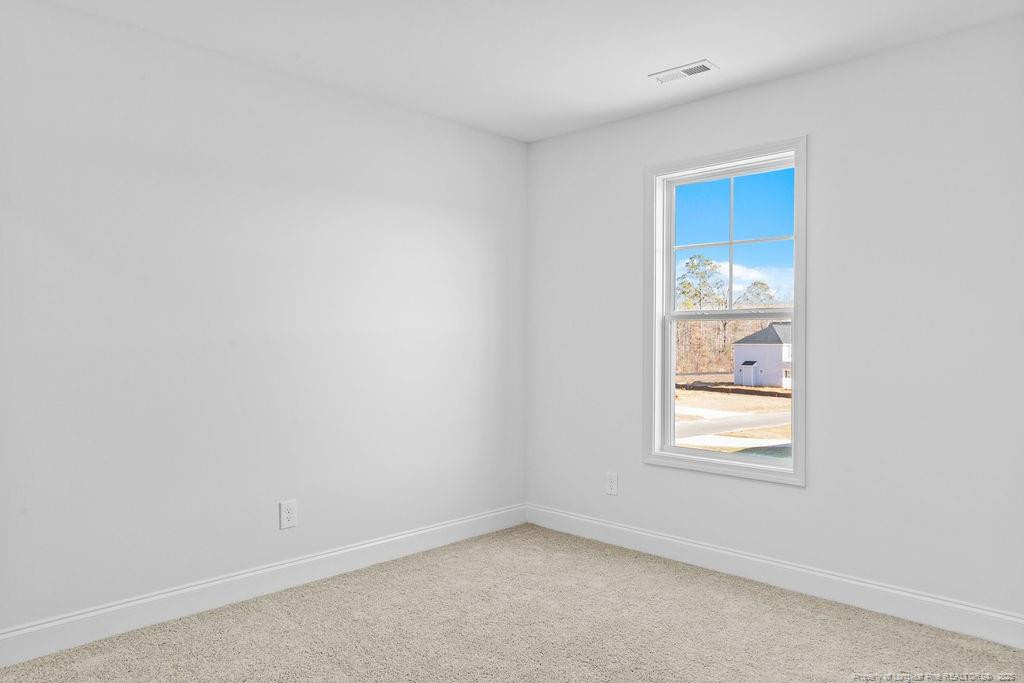 232 Godwin Gate (lot 58) Street Property Photo 19
