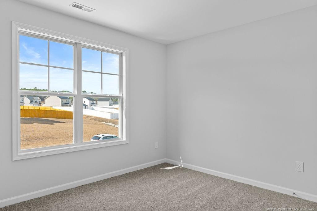 233 Vega (lot 51) Lane Property Photo 17