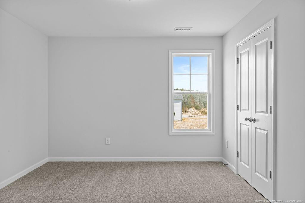 233 Vega (lot 51) Lane Property Photo 22