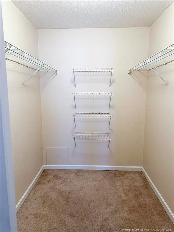 259 Waterdown Drive Property Photo 12