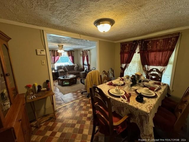303 Pecan Street Property Photo 6