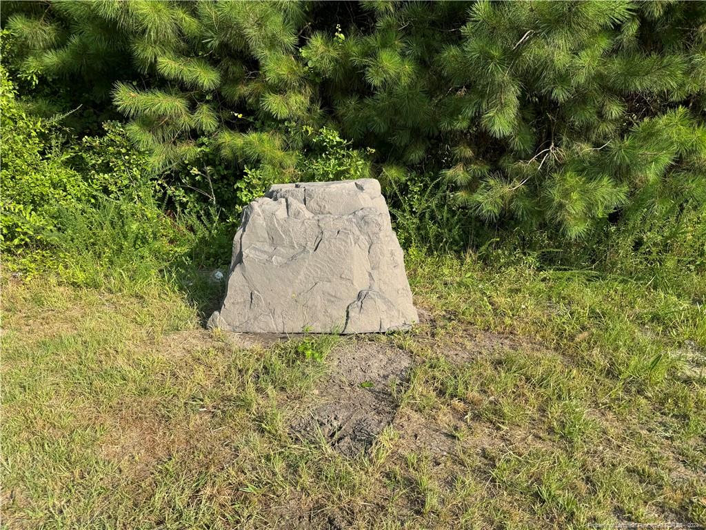 15748 Nc-11 Highway Property Photo 4