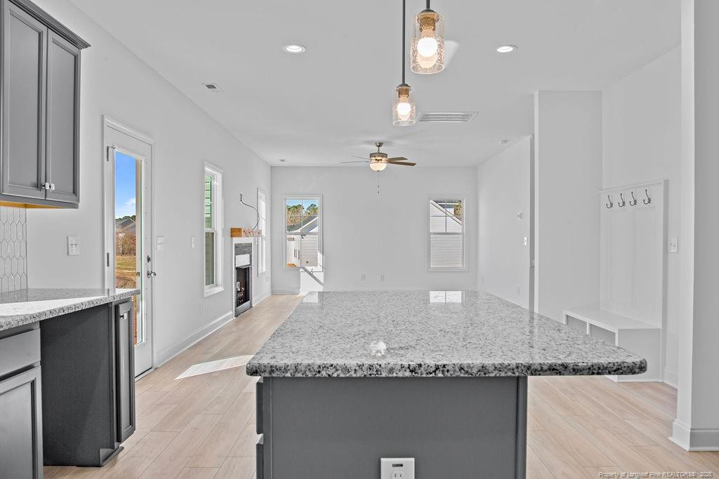 256 Godwin Gate (lot 54) Street Property Photo 11