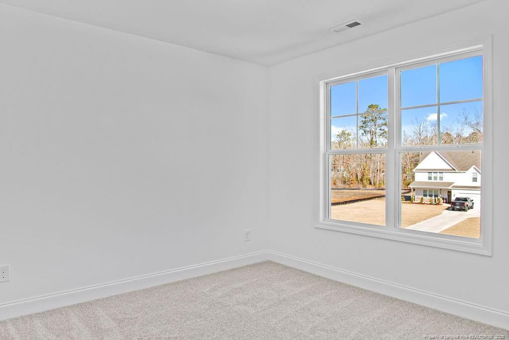 256 Godwin Gate (lot 54) Street Property Photo 14