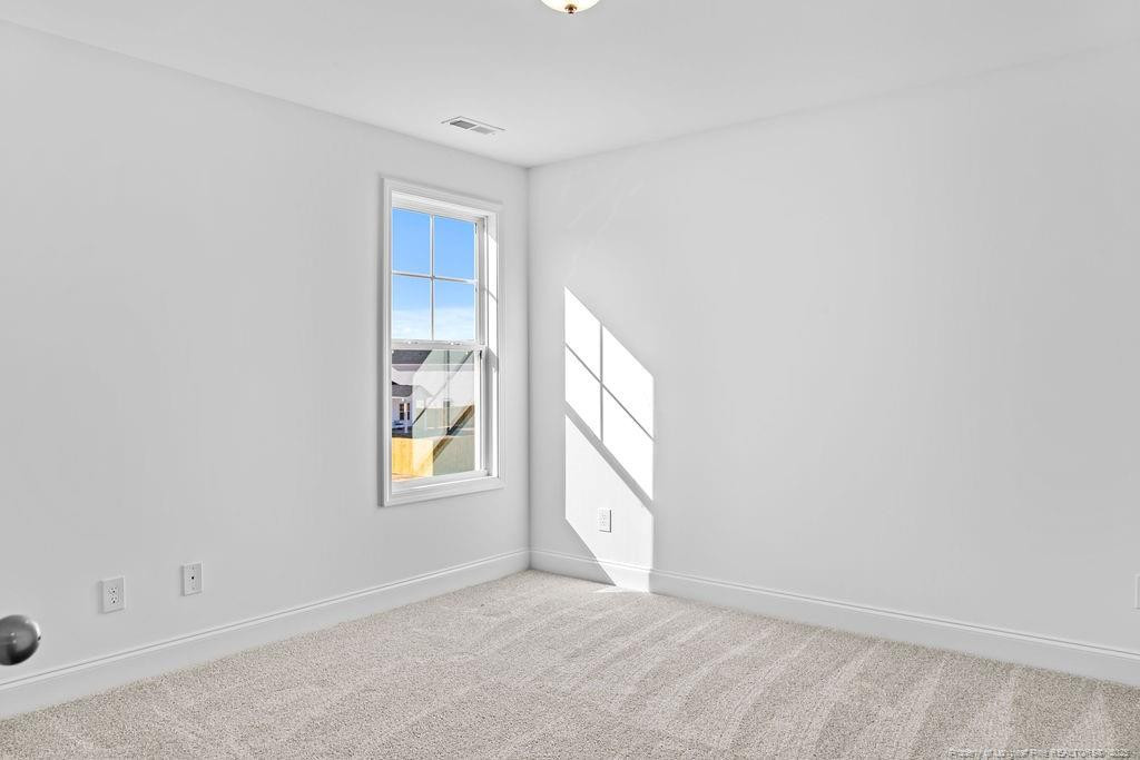 256 Godwin Gate (lot 54) Street Property Photo 17