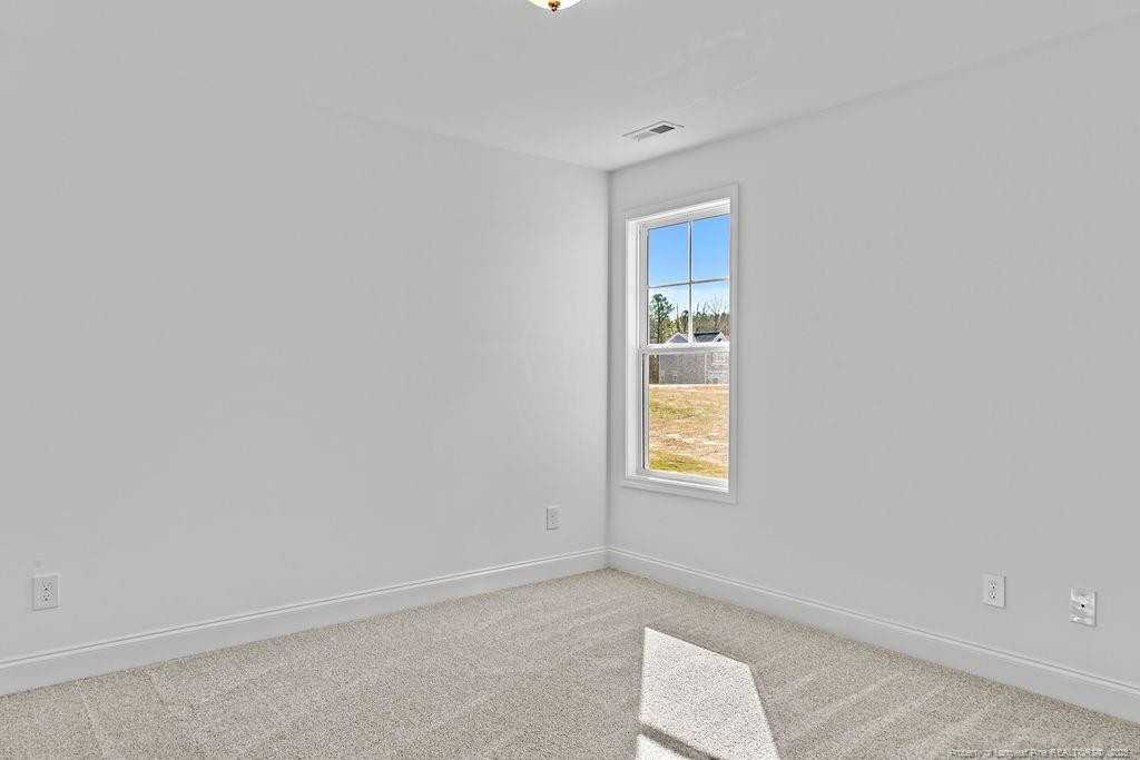256 Godwin Gate (lot 54) Street Property Photo 19