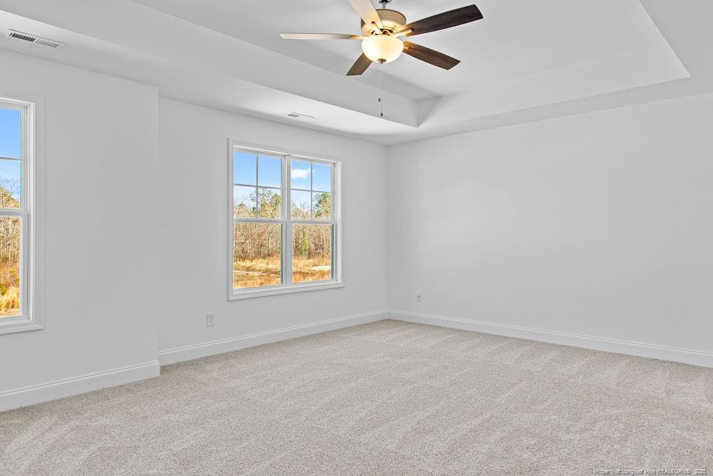256 Godwin Gate (lot 54) Street Property Photo 22