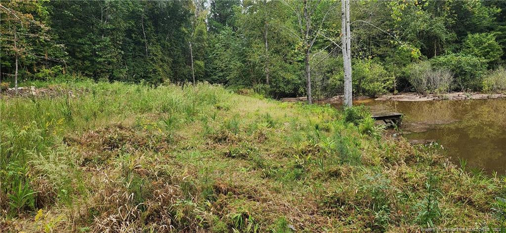 10 Jasmine Road Property Photo 11