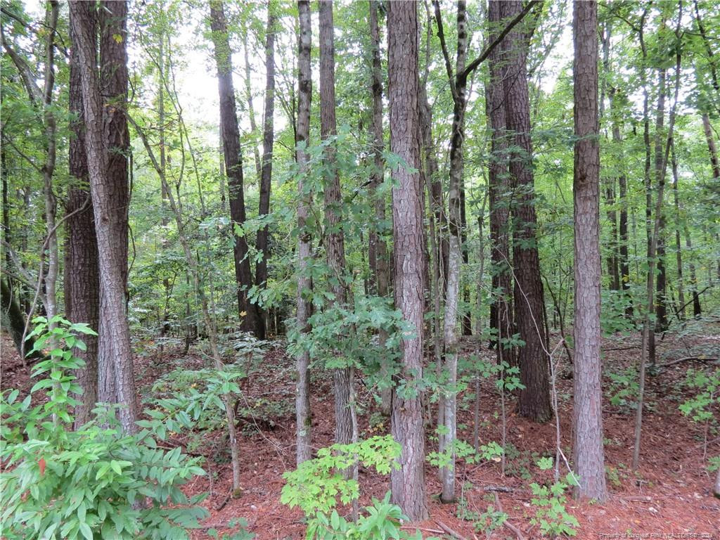 0 Lick Creek Road Property Photo