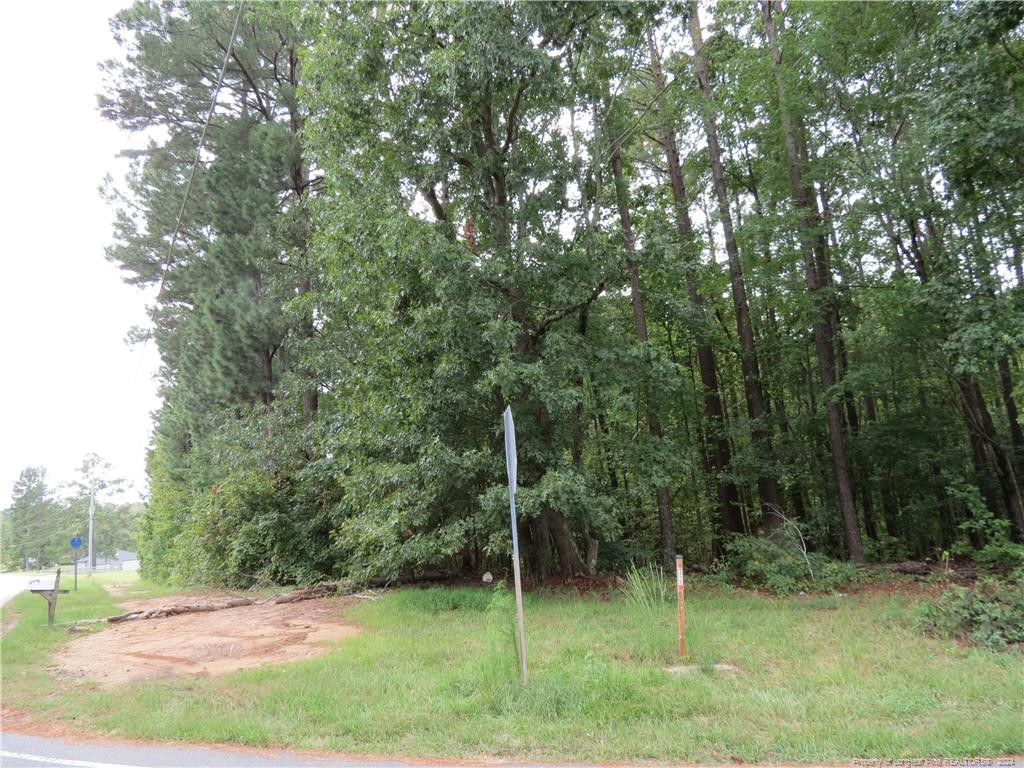 0 Lick Creek Road Property Photo 2