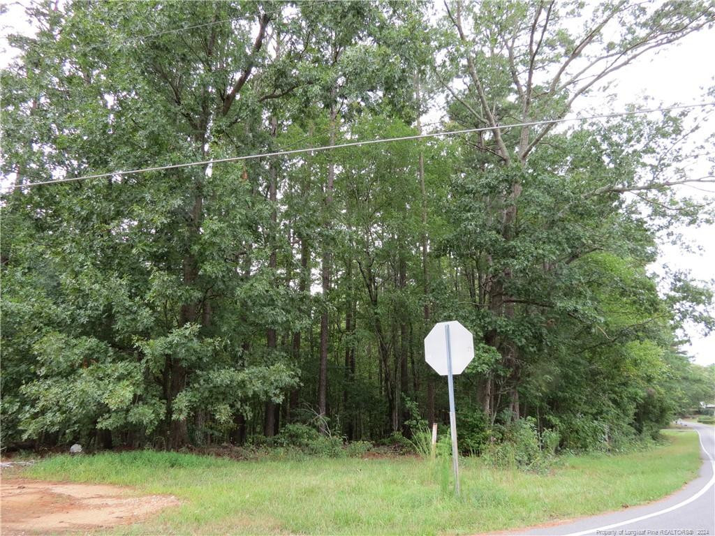0 Lick Creek Road Property Photo 3