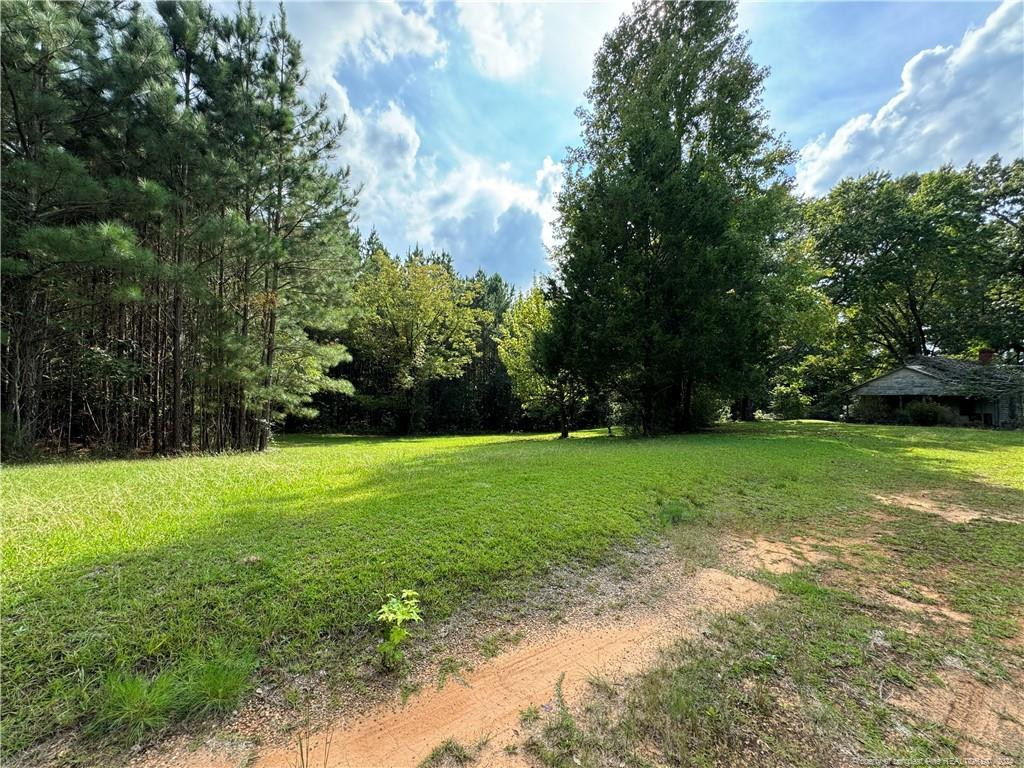 185 Deese Road Property Photo 1