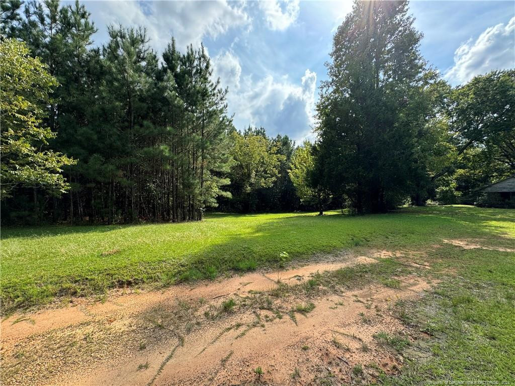 185 Deese Road Property Photo 3