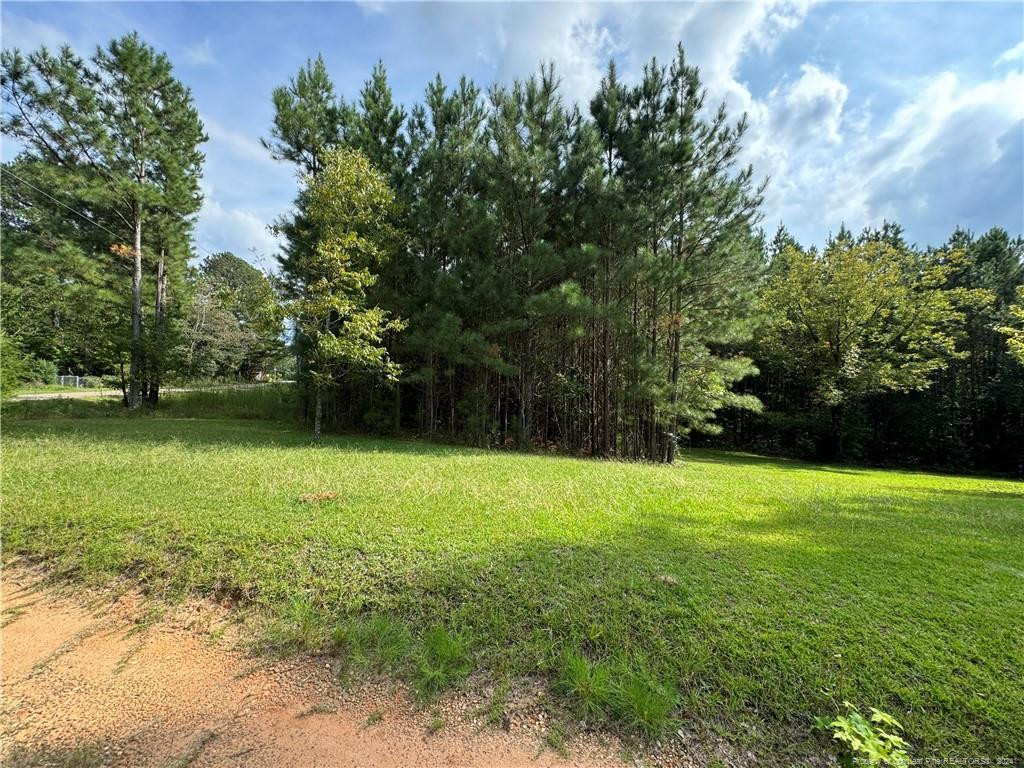 185 Deese Road Property Photo 4