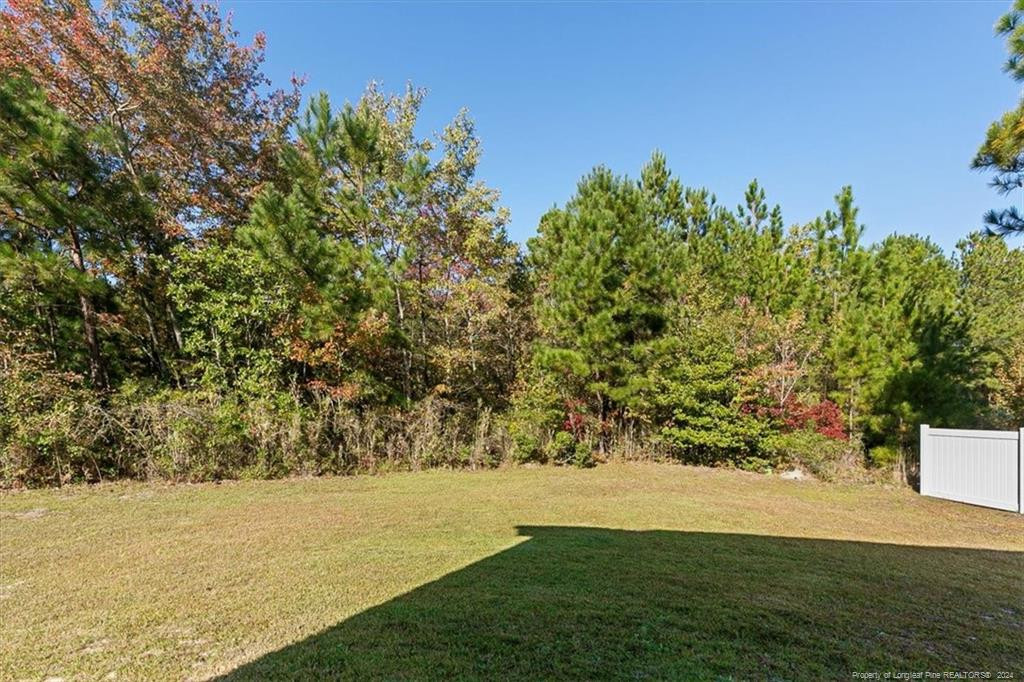 231 Watchmen Lane Property Photo 37