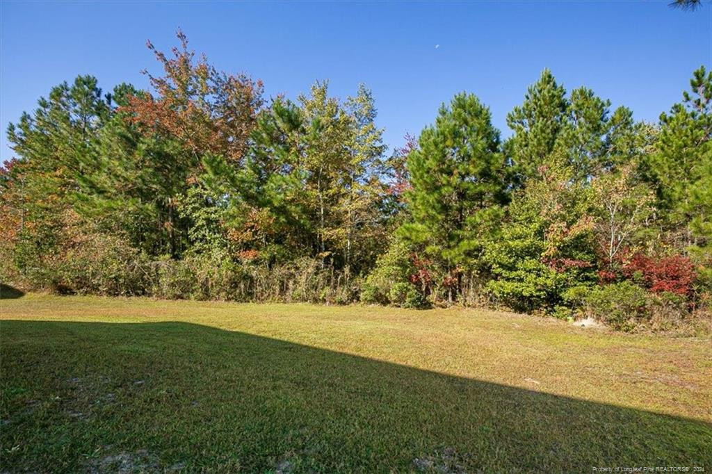 231 Watchmen Lane Property Photo 42