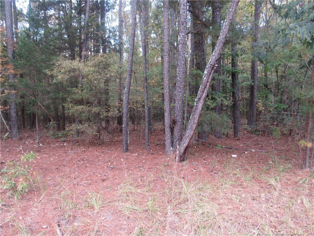 914 Taylors Chapel Road Property Photo 1