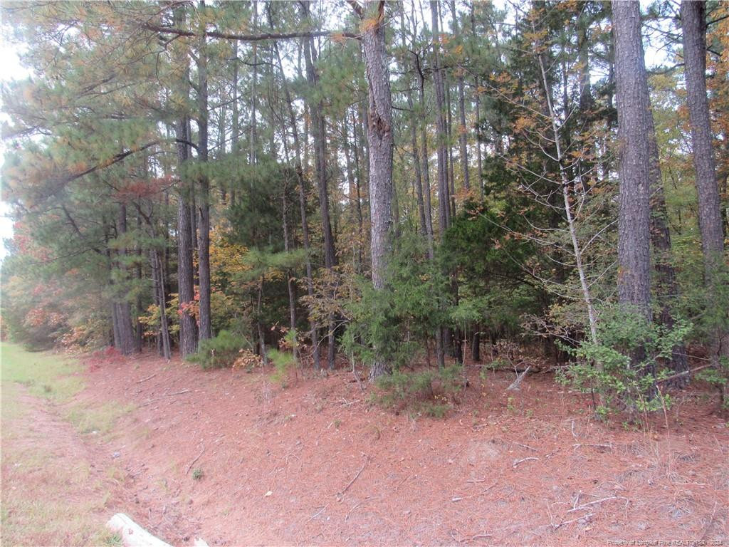 914 Taylors Chapel Road Property Photo 2