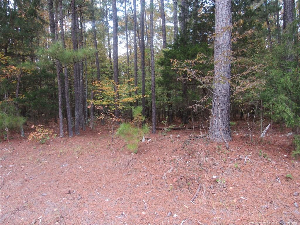 914 Taylors Chapel Road Property Photo 3