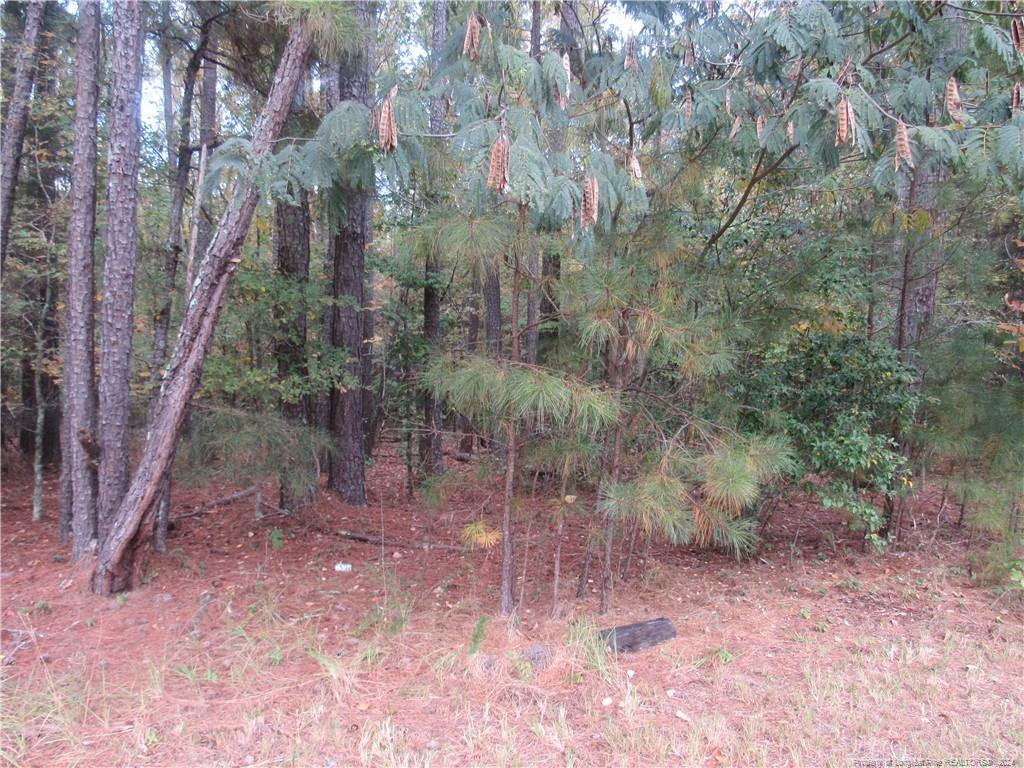 914 Taylors Chapel Road Property Photo 4