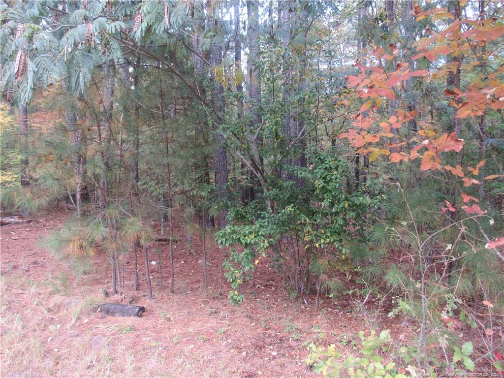 914 Taylors Chapel Road Property Photo 5