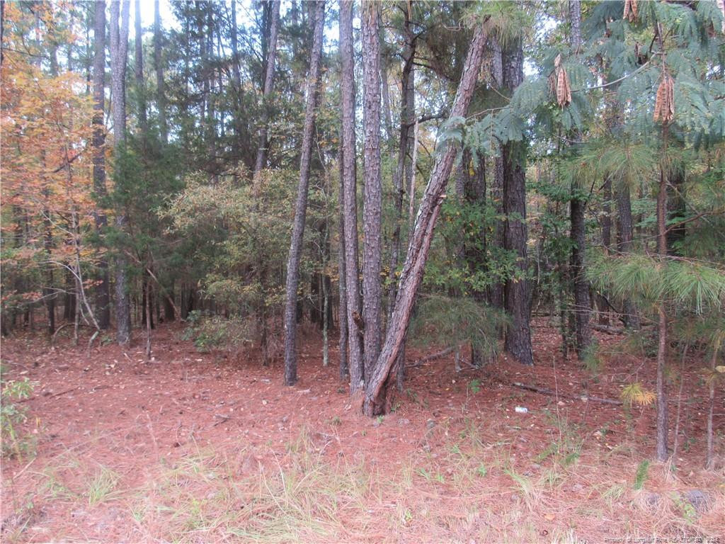 914 Taylors Chapel Road Property Photo 6