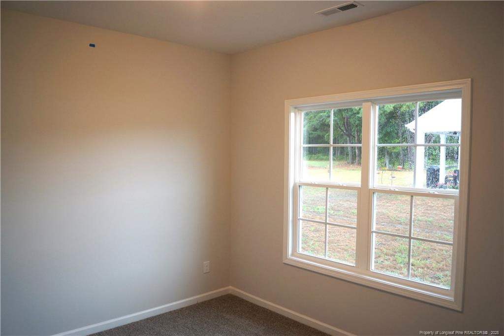 123 Nectar Lane Property Photo 29