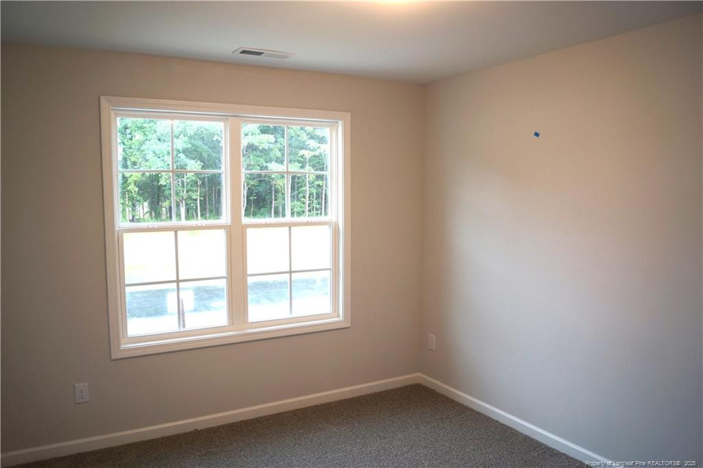 154 Nectar Lane Property Photo 28