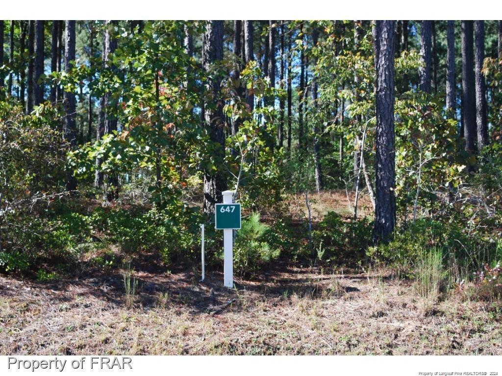 125 Broadlake (647) Lane Property Photo 2