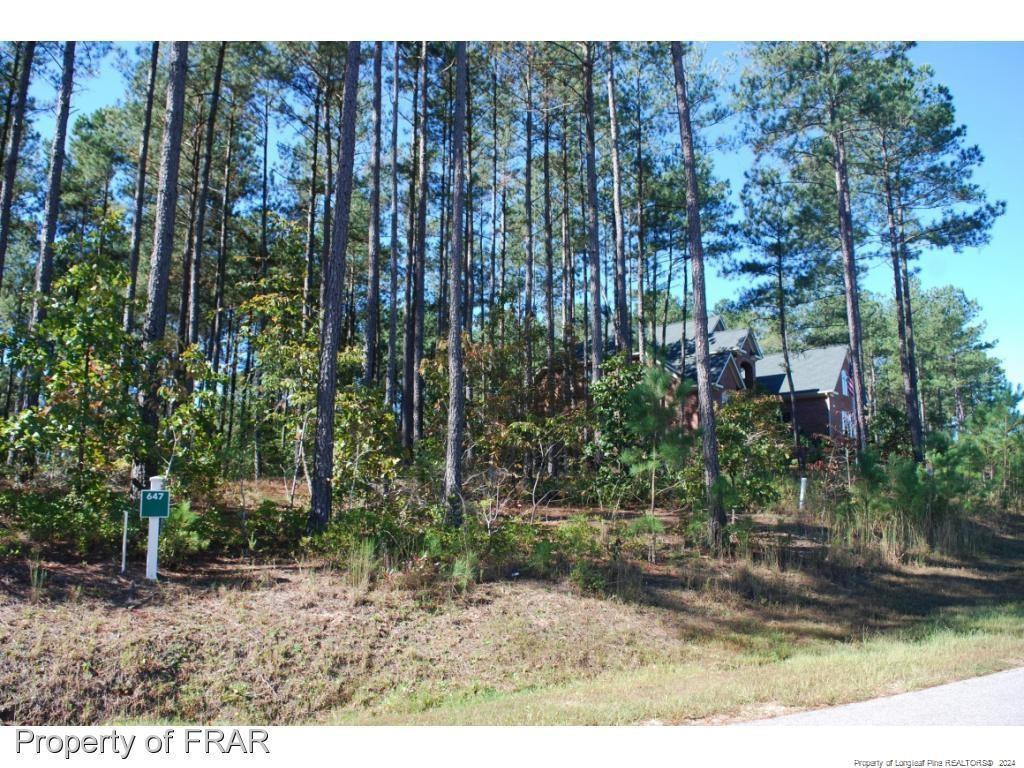 125 Broadlake (647) Lane Property Photo 6