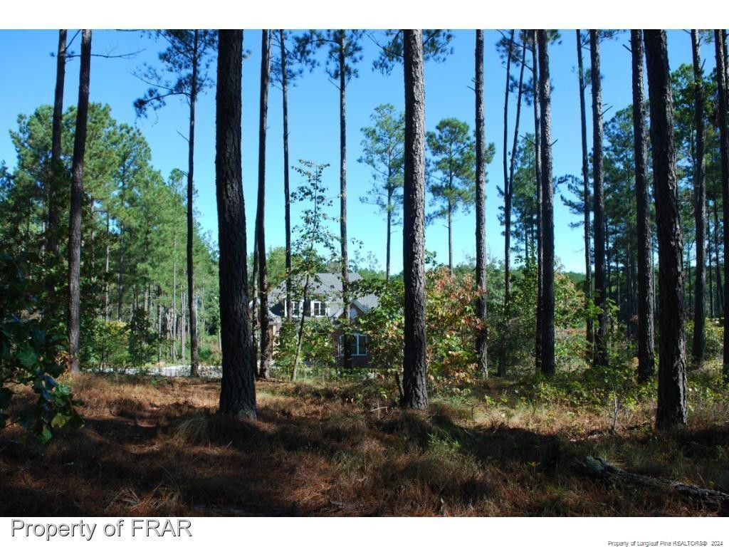 125 Broadlake (647) Lane Property Photo 7