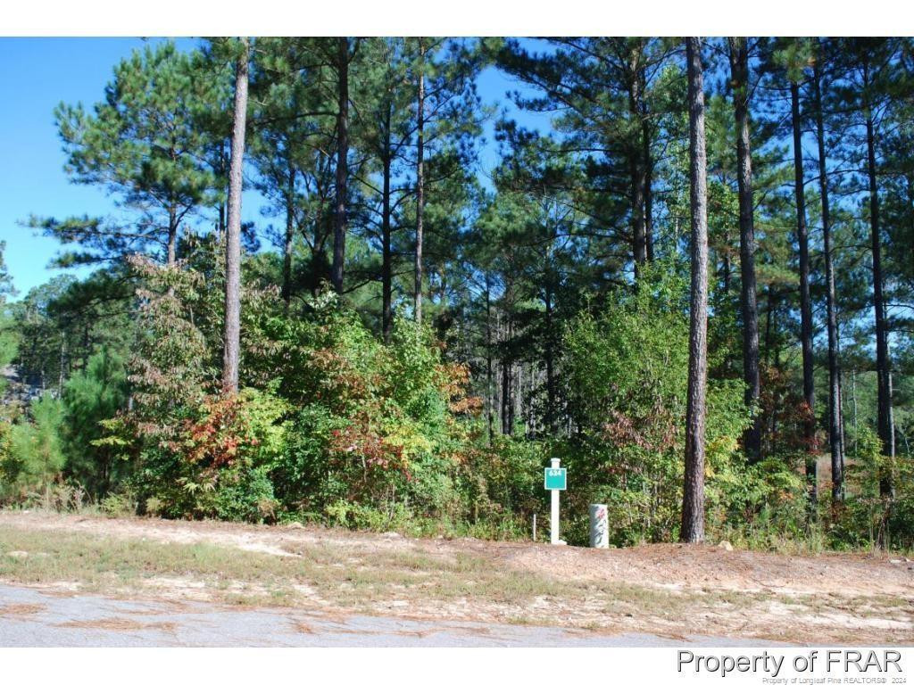 132 Broadlake (634) Lane Property Photo 1