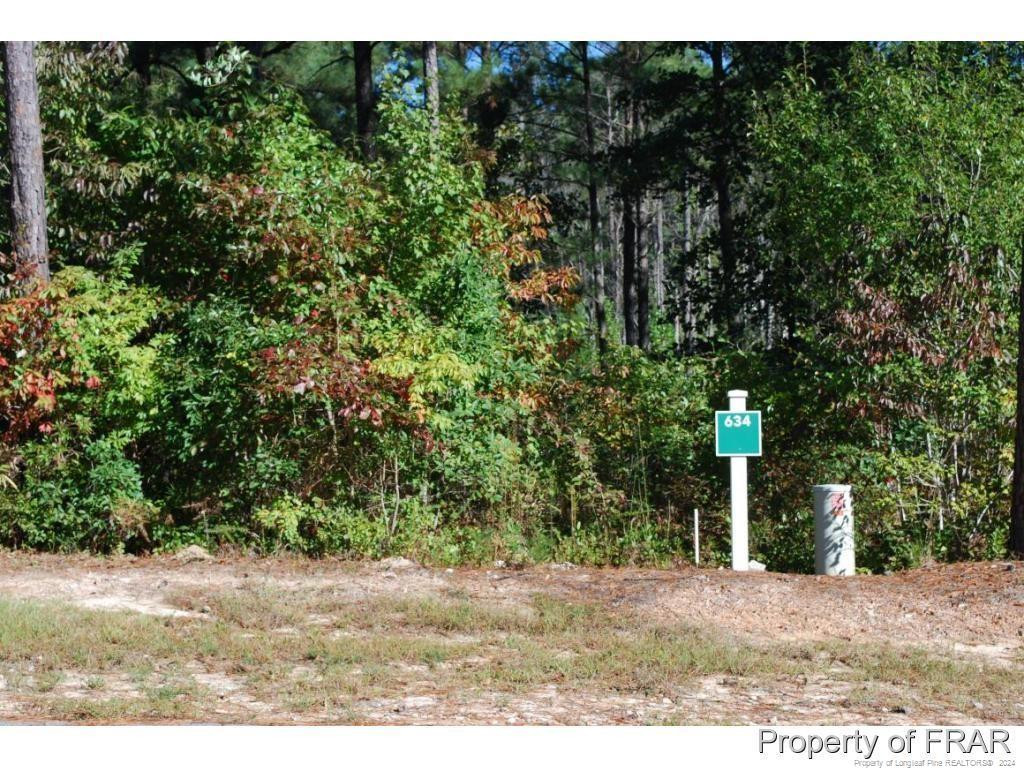 132 Broadlake (634) Lane Property Photo 2