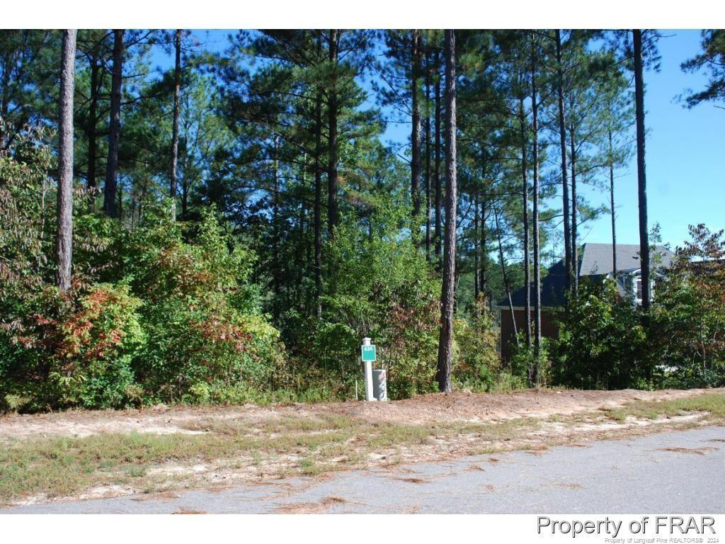 132 Broadlake (634) Lane Property Photo 3