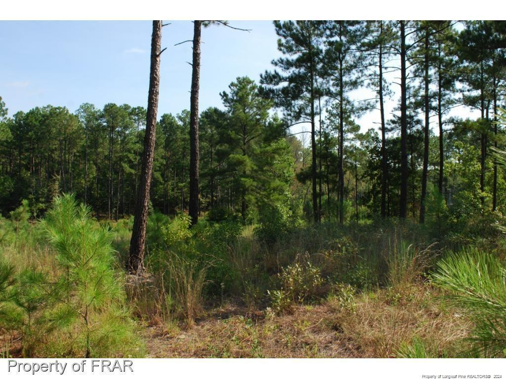 182 Broadlake (637) Lane Property Photo 2