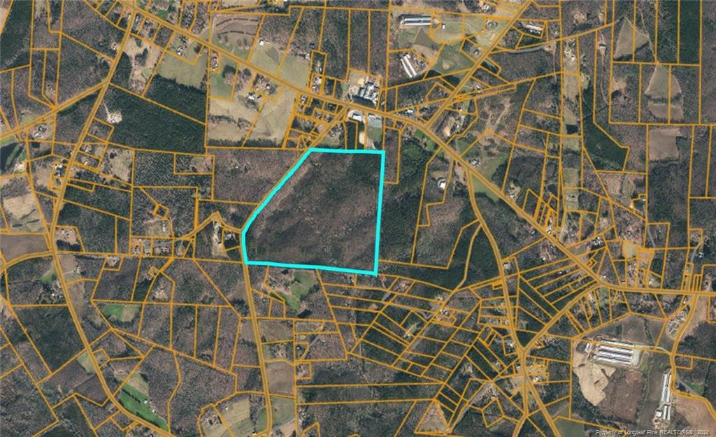 Tbd Dover Church Road Property Photo 2
