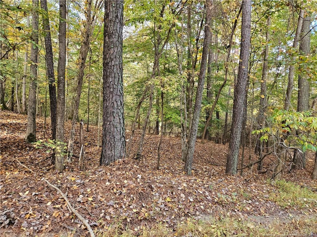 0 Sandy Creek Church Road Property Photo 1
