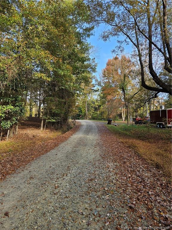 0 Sandy Creek Church Road Property Photo 4