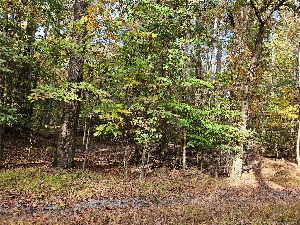 0 Sandy Creek Church Road Property Photo 5