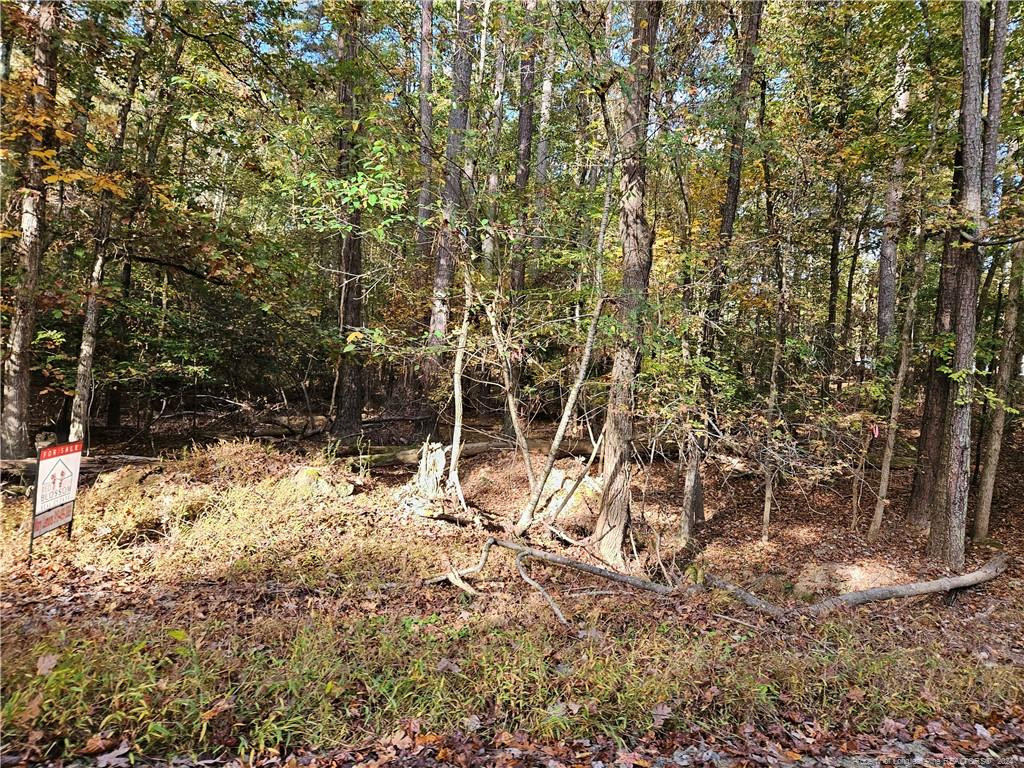 0 Sandy Creek Church Road Property Photo 6