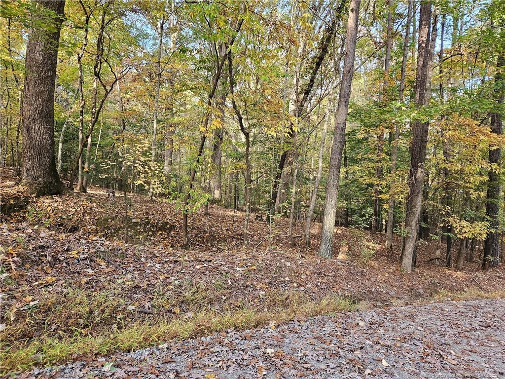 0 Sandy Creek Church Road Property Photo 7