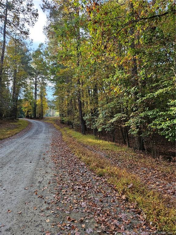0 Sandy Creek Church Road Property Photo 8