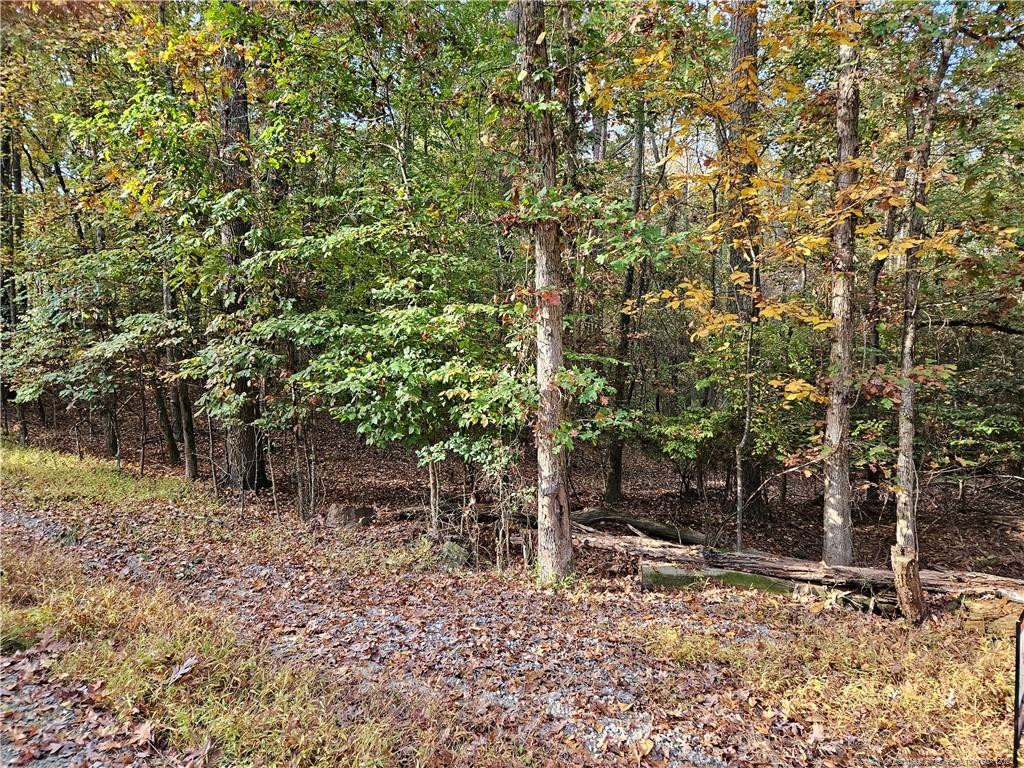 0 Sandy Creek Church Road Property Photo 9