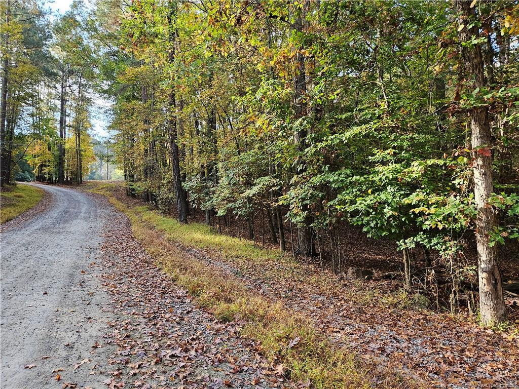 0 Sandy Creek Church Road Property Photo 11