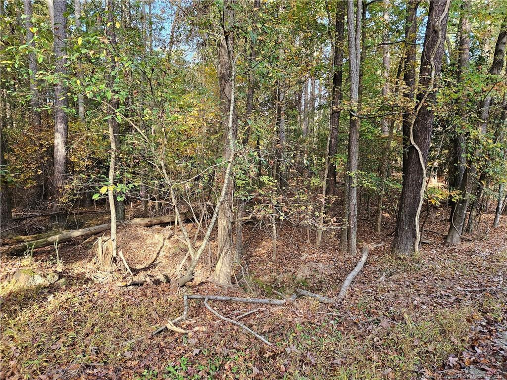 0 Sandy Creek Church Road Property Photo 12