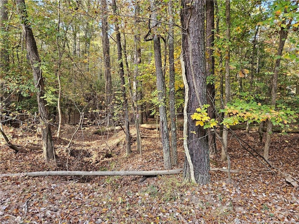0 Sandy Creek Church Road Property Photo 13